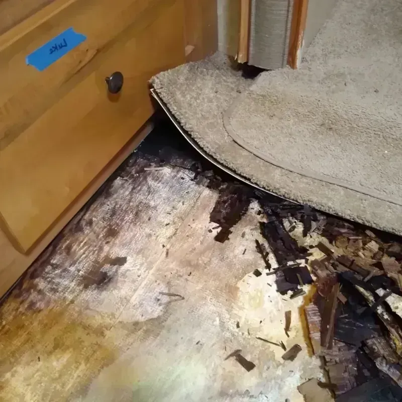 Wood Floor Water Damage in West Garfield Park, IL